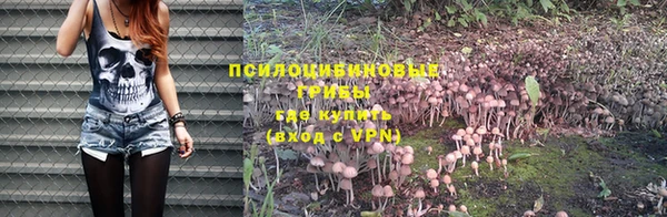 прущие грибы Алзамай