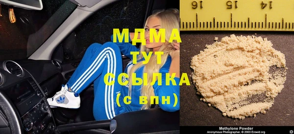прущие грибы Алзамай