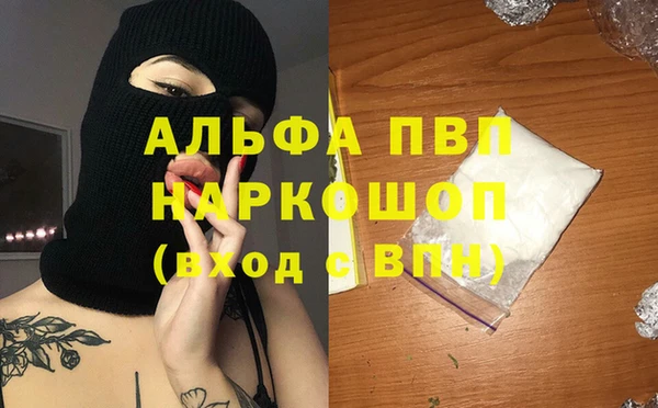 прущие грибы Алзамай