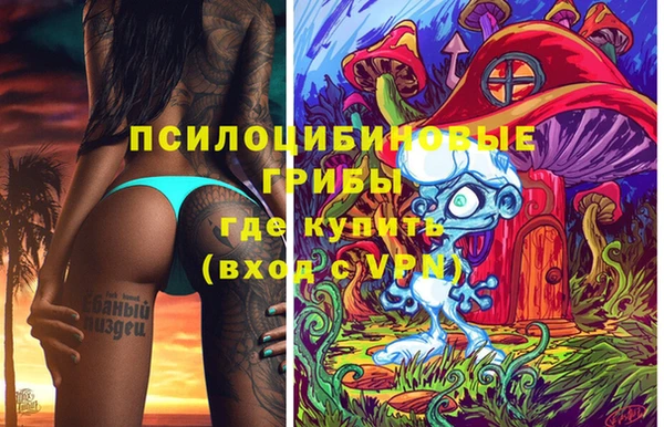 прущие грибы Алзамай