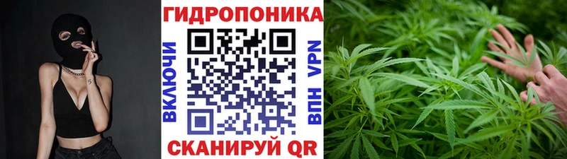 blacksprut сайт  хочу наркоту  Октябрьск  Бошки Шишки сатива 